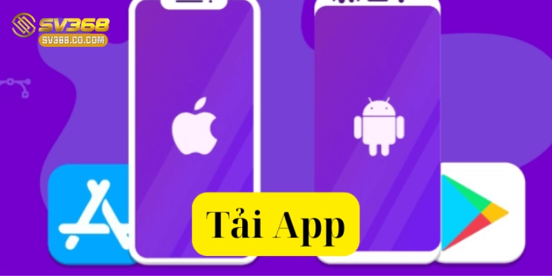 Hướng dẫn cách cài đặt