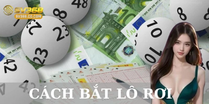 Phương pháp bắt lô rơi hiệu quả