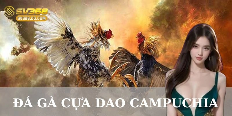 Lịch sử và nguồn gốc