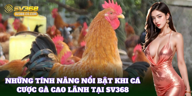 Đặc điểm nổi bật của giống gà Cao Lãnh nổi tiếng