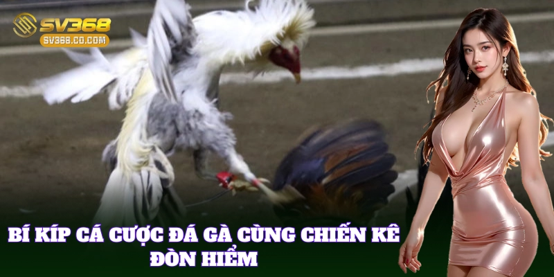 Bí quyết phát huy Chiến Kê Đòn Hiểm trong trận