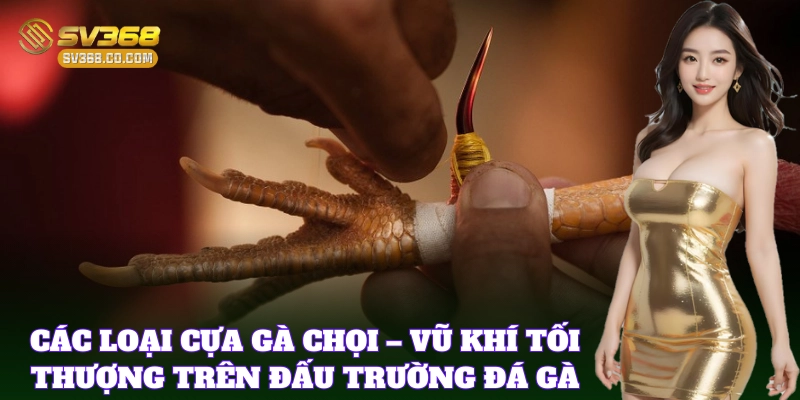 Tìm hiểu thông tin về Các Loại Cựa Gà Chọi