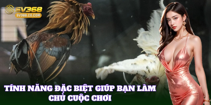 Tính năng cần biết cho bet thủ chơi đá gà chuẩn