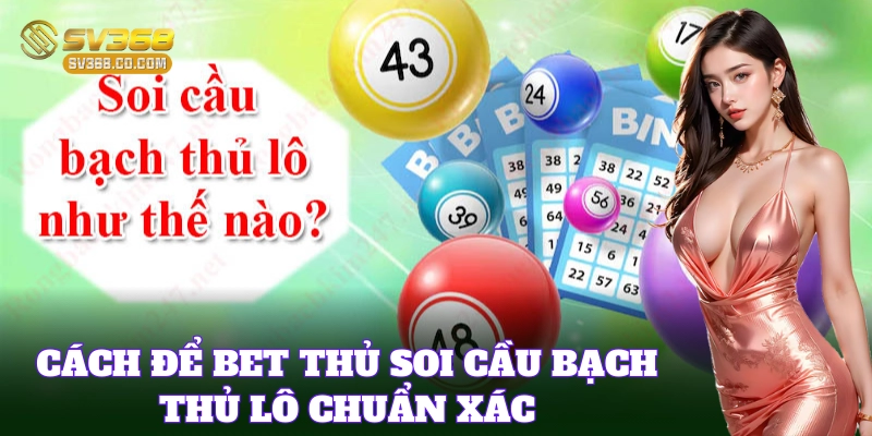 Cách Soi Cầu Bạch Thủ Lô hiệu quả nhất cho bet thủ