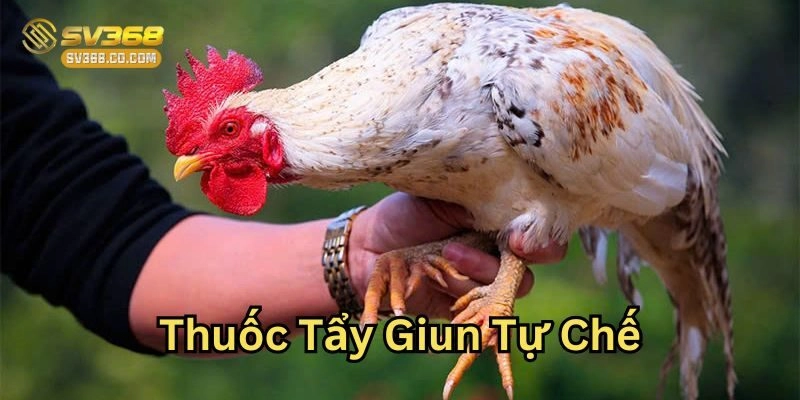 5 Cách Làm Thuốc Tẩy Giun Tự Chế Hiệu Quả Nhất Từ SV368